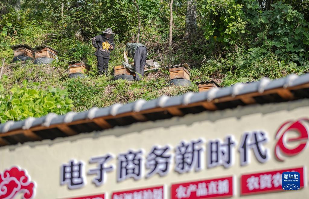 澳门威尼派网站